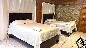 Coconut Tree West Bay