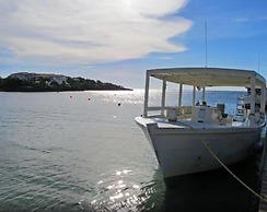 Coconut Tree West Bay
