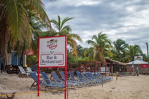 Coconut Tree West Bay