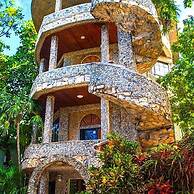 Coconut Tree West Bay