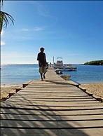 Coconut Tree West Bay