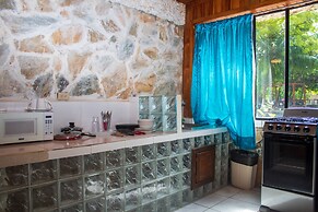 Coconut Tree West Bay