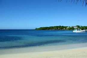 Coconut Tree West Bay