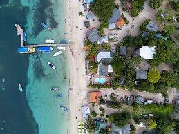 Coconut Tree West Bay