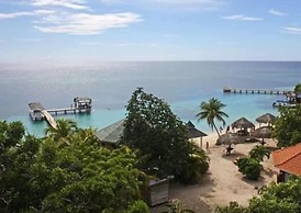 Coconut Tree West Bay