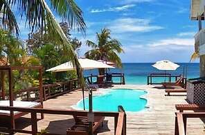 Coconut Tree West Bay