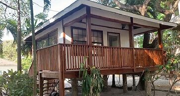 Coconut Tree West Bay