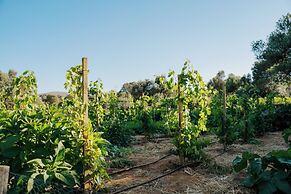 Village Heights Resort