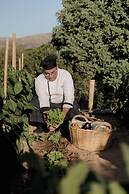 Village Heights Resort