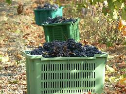 B&B Pessighette Dimora di Campagna