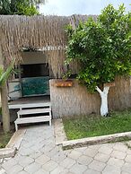 Golden Sand Beach & Caravan