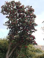 Golden Gate Guest House