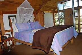 Sycamore Avenue Treehouses