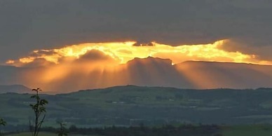 Sycamore Avenue Treehouses
