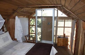 Sycamore Avenue Treehouses