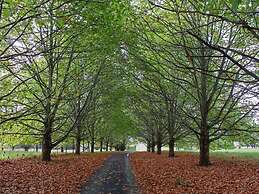 Sycamore Avenue Treehouses
