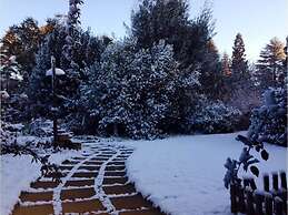 Sycamore Avenue Treehouses