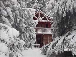 Sycamore Avenue Treehouses