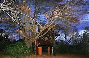 Sycamore Avenue Treehouses