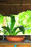 Khun Nai Tern Sai - Adults Only