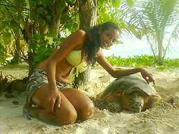 Anse Kerlan Beach Chalets