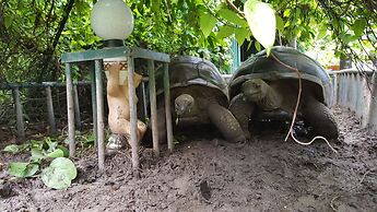 Anse Kerlan Beach Chalets