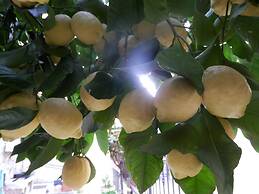 Il BoMa Affittacamere