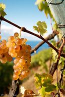 Il BoMa Affittacamere