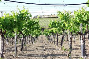 Agriturismo La Casa di Bacco