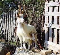 Agriturismo La Casa di Bacco