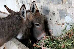 Agriturismo La Casa di Bacco