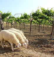 Agriturismo La Casa di Bacco