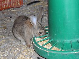 Agriturismo La Casa di Bacco