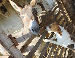 Agriturismo La Casa di Bacco