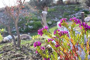 Agriturismo La Casa di Bacco