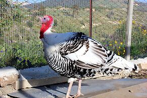 Agriturismo La Casa di Bacco