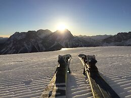 Alpenstern Lermoos