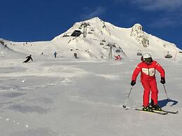 Alpenstern Lermoos