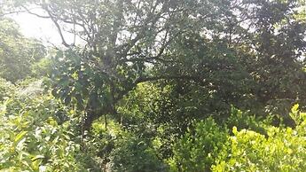 Bromelias Corcovado Apartments