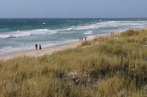 Scarborough & Absolutely Beachfront