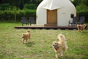 Koyaru-no-sato Doggys Island