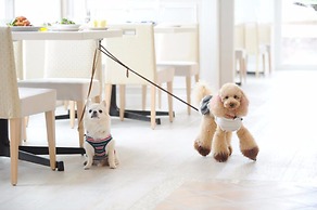 Koyaru-no-sato Doggys Island