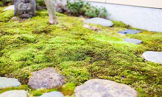 Kyo-no-Yado Sangen Ninenzaka