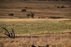 Springwater Cottages