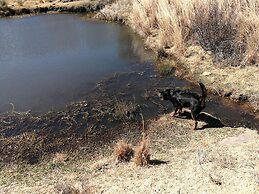 Springwater Cottages