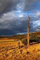 Springwater Cottages