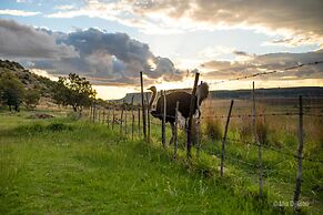 Springwater Cottages