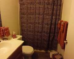 Stone Lizard Vacation Rentals