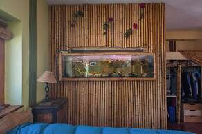 Apassionata Tango Hotel