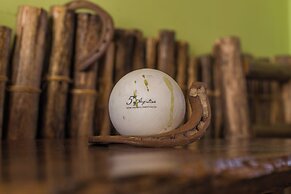 Apassionata Tango Hotel